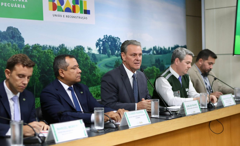 Exportação de carne de frango é suspensa para 20 países, informa Mapa - Exportação de carne de frango é suspensa para 20 países, informa Mapa