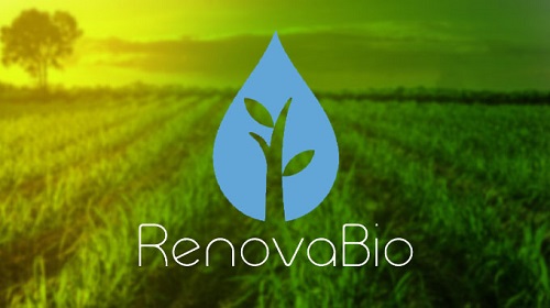 RenovaBio evita emissão de 147 milhões de toneladas de carbono