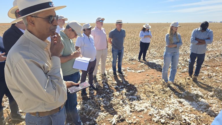 Preservação ambiental nas fazendas de algodão é destaque durante “Brazilian Cotton Dialogues” - Preservação ambiental nas fazendas de algodão é destaque durante “Brazilian Cotton Dialogues”