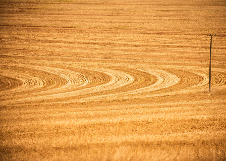 Manejo de solo passa a fazer parte do Zoneamento de Risco Climático da soja - Manejo de solo passa a fazer parte do Zoneamento de Risco Climático da soja