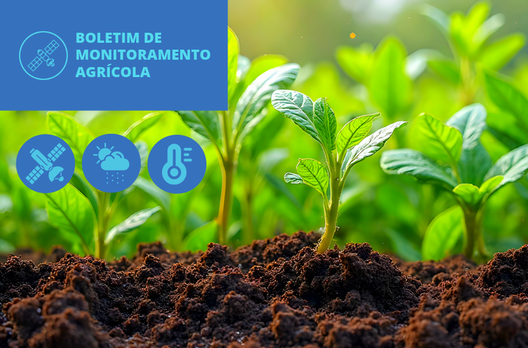 Bons volumes de chuva favorecem cultivos de inverno, diz Conab