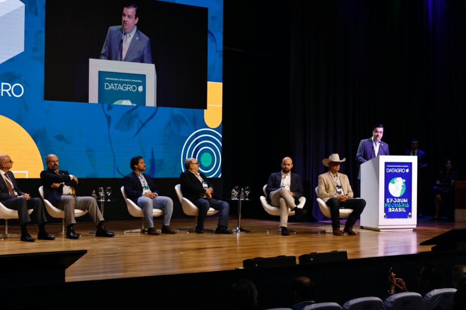 Mesmo com tarifaço, Abiec projeta alta nas exportações de carne bovina em 2025 - carne bovina Mesmo com tarifaço, Abiec projeta alta nas exportações de carne bovina em 2025