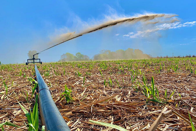 Cana-de-açúcar pode garantir energia elétrica em época de seca, diz estudo