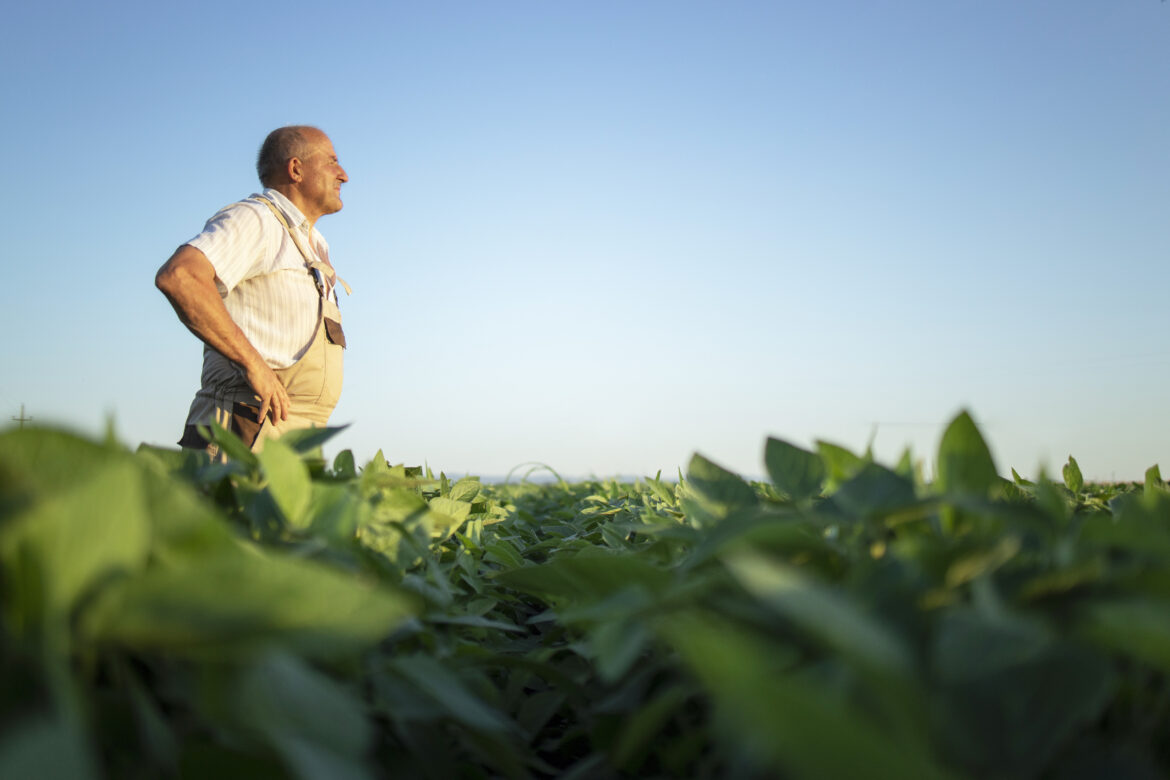 Agro atinge 28,6 milhões de trabalhadores no 3º trimestre de 2025