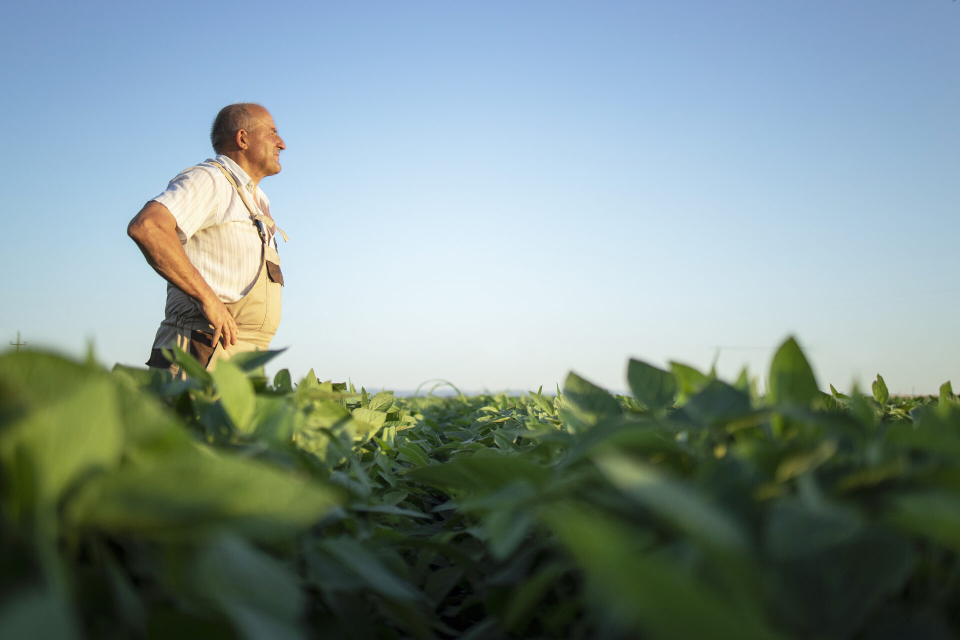 Reforma tributária no agro: o que muda para o produtor a partir de 2026?