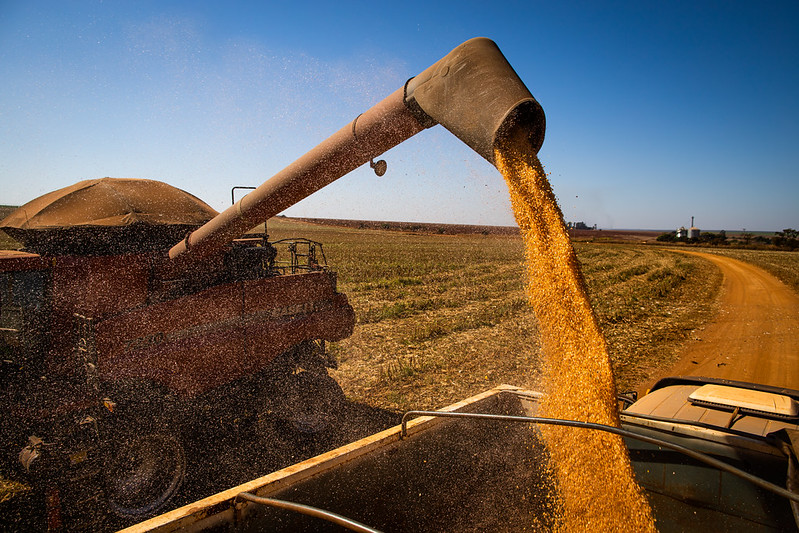 produção de grãos - Produção de grãos deve alcançar 354,8 milhões de toneladas na safra 2025/26