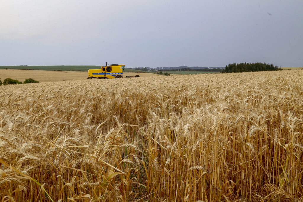 Projeto busca diretrizes para automatizar o monitoramento agrícola no Brasil