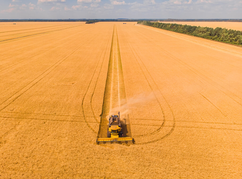 Produção de grãos e área plantada da safra 2025/26 mantém perspectiva de novos recordes