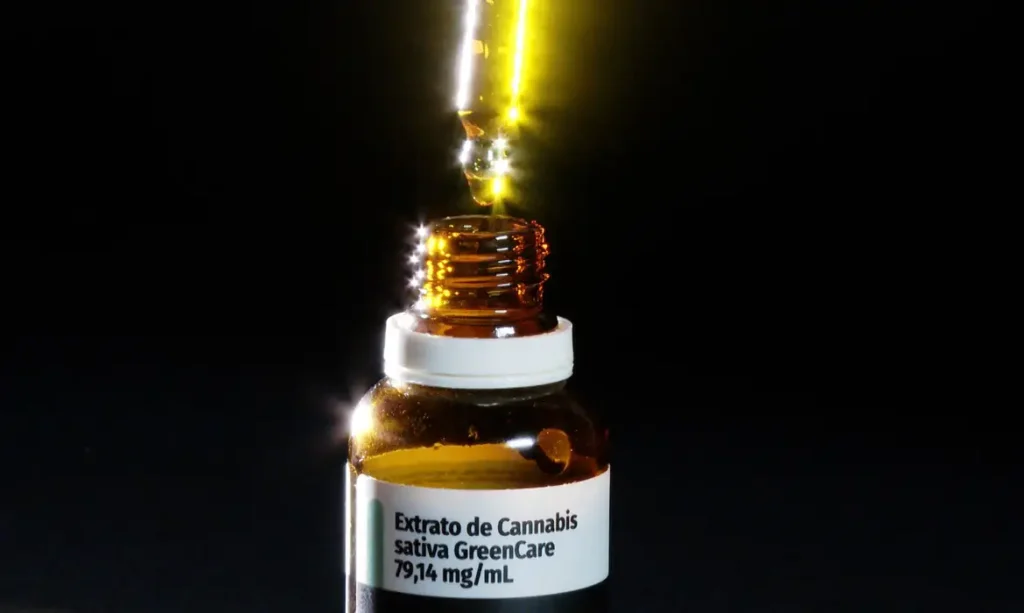 Anvisa aprova cultivo de cannabis por empresas e amplia acesso