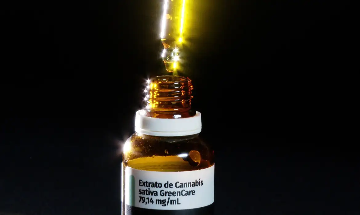 Anvisa aprova cultivo de cannabis por empresas e amplia acesso