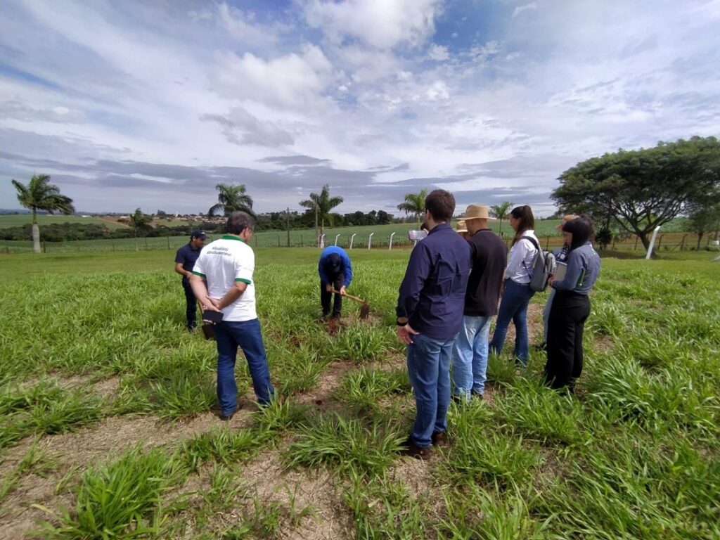 Metodologia prática e acessível avalia a qualidade do solo em áreas agrícolas - qualidade do solo Metodologia prática e acessível avalia a qualidade do solo em áreas agrícolas