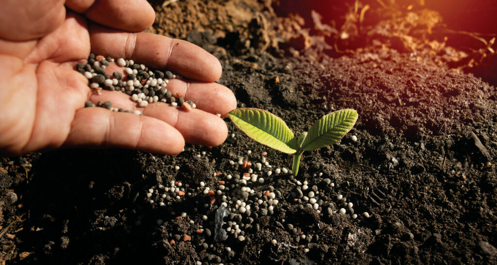 Baixa oferta de fertilizantes e preços mais altos de combustíveis elevam custos de produção 