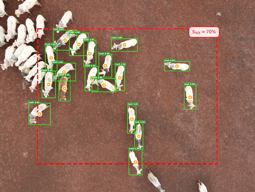 Drones e inteligência artificial indicam melhor momento de abate do gado