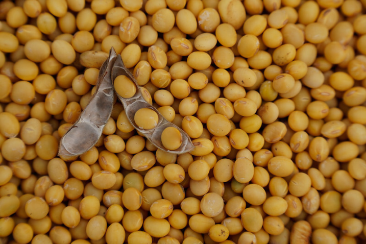 Produção de biodiesel no Mato Grosso responde por 26% do volume nacional, aponta Imea - biodiesel Produção de biodiesel no Mato Grosso responde por 26% do volume nacional, aponta Imea