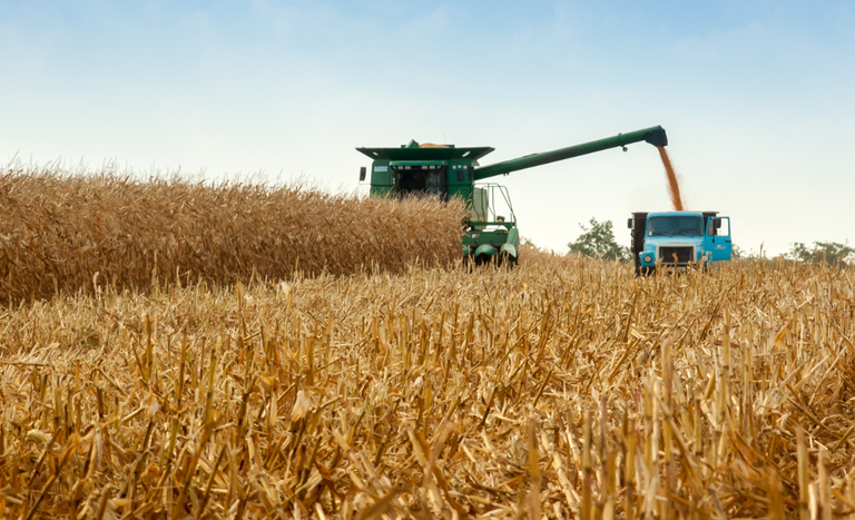 Contratações de crédito rural somam R$ 433 bilhões até maio - crédito rural Contratações de crédito rural somam R$ 433 bilhões até maio