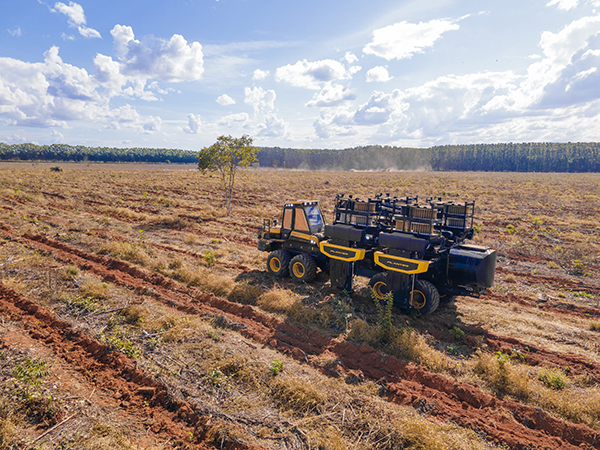 Timber Forest apresenta plantadeira e cabeçote da Ponsse na Lignum 2026 - Lignum Timber Forest apresenta plantadeira e cabeçote da Ponsse na Lignum 2026
